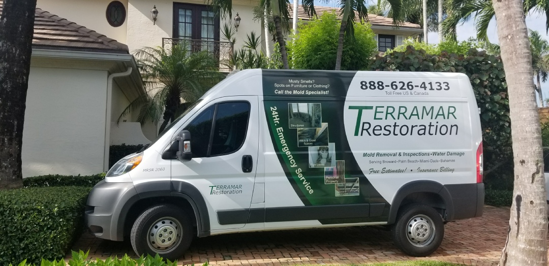 Mold Removal Services Palm Beach